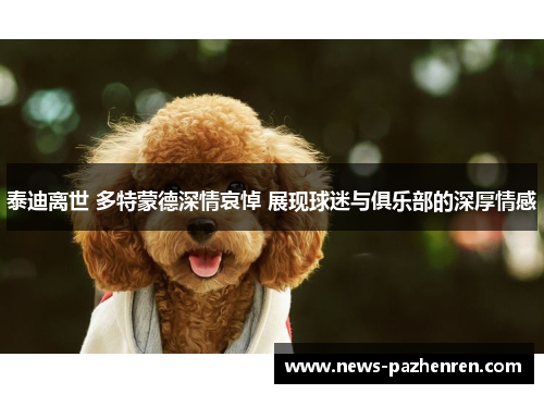 泰迪离世 多特蒙德深情哀悼 展现球迷与俱乐部的深厚情感