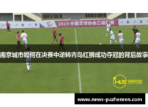 南京城市如何在决赛中逆转青岛红狮成功夺冠的背后故事