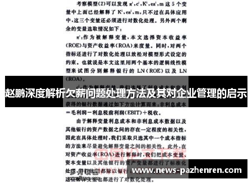 赵鹏深度解析欠薪问题处理方法及其对企业管理的启示