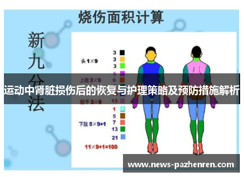 运动中肾脏损伤后的恢复与护理策略及预防措施解析